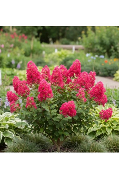 Петіт Ред в ландшафті